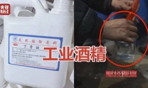 央视曝光！活鱼被人为麻醉后流向餐桌，可能“喝过”工业酒精
