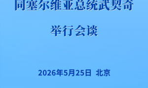 习近平同塞尔维亚总统武契奇举行会谈