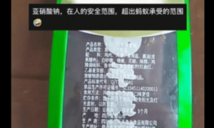 孩子零食肉干碎渣掉地上，蚂蚁吃完短时间内集体死亡，网友热议