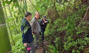 “永川兄弟妯娌四人被洪水卷走”最新进展：67岁的哥哥已确认遇难