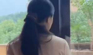 李梦回应在杭州租院子种菜生活：不是别墅，是个老房子