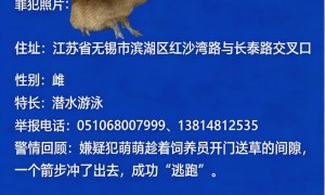 无锡一植物园悬赏10000元寻“越狱”卡皮巴拉，找到除奖金外还可终身免费入园