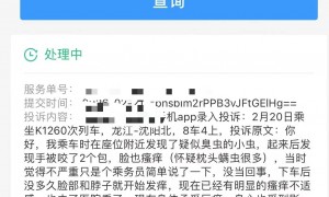 女子称坐火车硬卧遭虫咬左手肿如馒头，被诊断为丘疹性荨麻疹，12306：已经将登记工单流转至相关责任单位