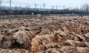 山东一地修高铁站，挖出约5亿年前石海，网友建议建成地质博物馆