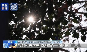 法治在线丨“梅姨”如何落网？何时公布照片？警方披露案件侦办细节