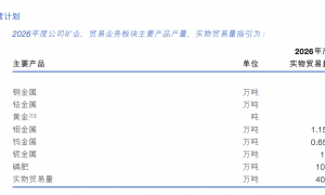 铜价狂飙下的赢家：中国最神秘矿王旗下公司净利首破200亿