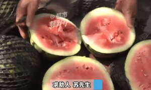 官方通报从云南拉到焦作的11吨西瓜全坏：运费问题已解决，镇政府将联合多部门加大监管