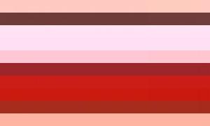 白宫：特朗普对访华期待已久