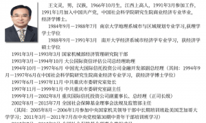 王文灵被查