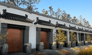 快评丨农田里建起200万一座的豪华墓地，谁在背后“保驾护航”？