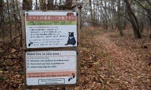 日本遭遇“熊灾”！已致10人死亡，创历史新高