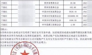 用户关闭支付功能后被扣捐赠184万？支付宝回应：正寻求警方帮助