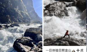 中虎跳峡连发坠江事件，“发疯石”到底多火？镇政府“根本劝不住”，律师：后果自负
