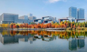 专访全国政协常委林毅夫：美元强势≠经济强劲，中国经济规模有望在2030年左右超越美国