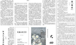 人民日报批扭曲的“痕迹主义”：有的干部把大量精力用在造材料、补记录、摆造型上，把留痕当成应付检查、博取眼球的捷径