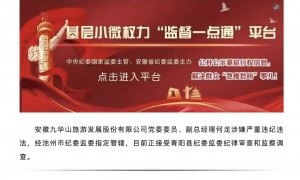上任仅一年多便遭留置，九华旅游副总被立案调查！公司称生产经营未受重大影响