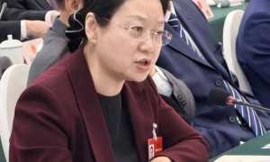 “恳请支持”！代表给国家部委提出了两条建议