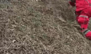 延安一校车司机聚餐后失联超300天仍无踪迹 警方：目前未发现他杀迹象，将再次搜索