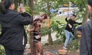 四川泸州一起婚闹事件引争议，男子被扒衣绑在树上泼酱油扔鸡蛋，当地民政局：确实不文明，但“没犯法”只是“庆祝方式不一样”