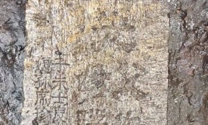 江苏一公园用墓碑铺路，碑面可见“先父”“贤妻”等称谓，被质疑不尊重逝者，公园：修路就地取材用了无主墓碑
