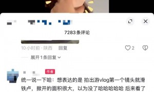 女子吐槽飞机餐仅一根青菜配米饭，网友吵翻！航司回应