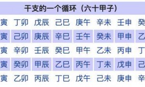“我到底属啥？”这事儿有国家标准的！
