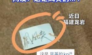 女子发现网购大衣出现手写名字，吓得直接退货，原来是缝衣师傅的KPI