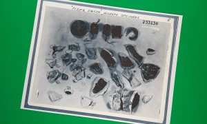 前CIA资助研究员：美寻获4种外星人 解密档案：UFO源自外星查无实据