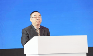 节后打虎！全国社会保障基金理事会副理事长王文灵，任上被查