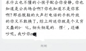 高铁上孩童吵闹大学生怒吼一声瞬间安静，当事人称事后遭网暴，12306回应：可求助乘务员，但“我们的职责只有劝阻”，会向上反馈
