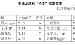 河北一中学教师买卖8支玩具仿真枪获刑三年，申诉被驳回