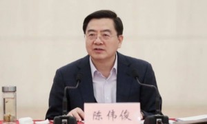 陈伟俊被查