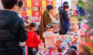 “让世界看到文化多元、生机盎然的中国”， 对话全国人大代表夏华