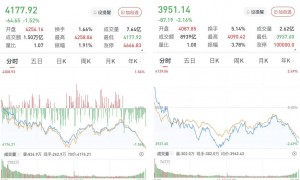 A股三大股指集体收跌超1.5%，航运、猪肉等板块逆势走强